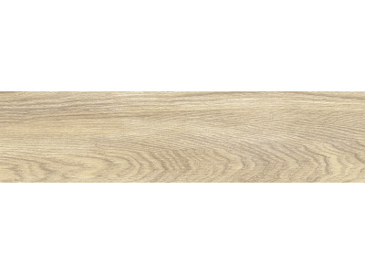 Aspen Marron 60,2x15,1
