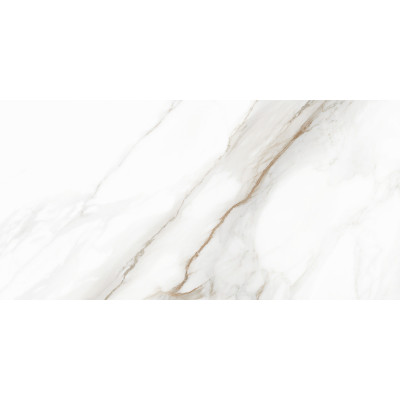 Calacatta Andrea 120x60