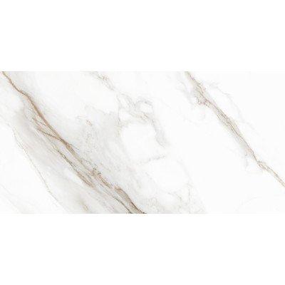 Calacatta Andrea 120x60