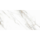 Calacatta Andrea 120x60
