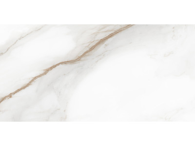 Calacatta Andrea 60x30
