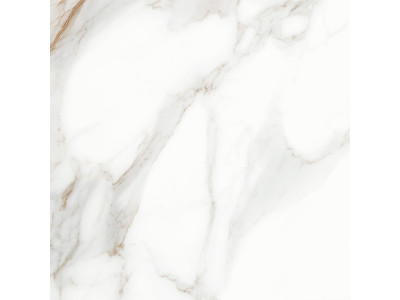 Calacatta Andrea 60x60
