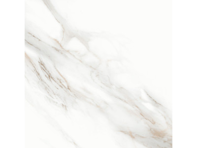 Calacatta Andrea 60x60
