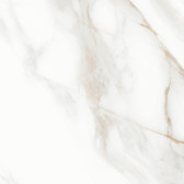 Calacatta Andrea 60x60
