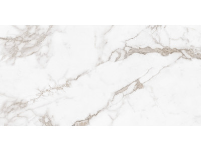 Calacatta Arabesque 120x60
