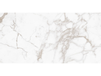 Calacatta Arabesque 120x60
