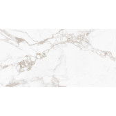 Calacatta Arabesque 120x60
