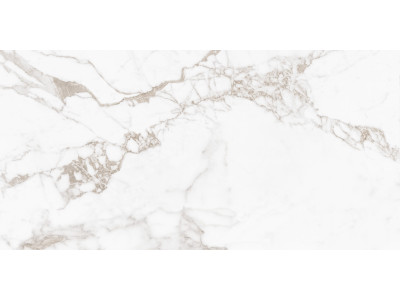 Calacatta Arabesque 120x60
