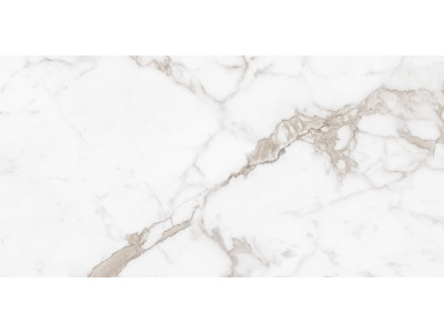 Calacatta Arabesque 120x60

