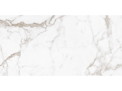 Calacatta Arabesque 120x60
