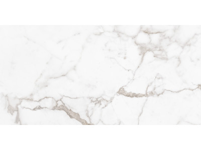 Calacatta Arabesque 120x60
