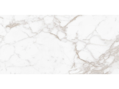 Calacatta Arabesque 120x60
