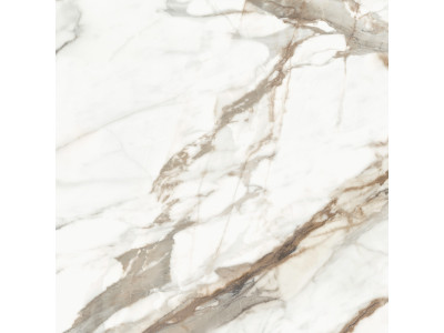 Calacatta Premium 60x60
