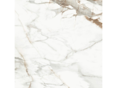 Calacatta Premium 60x60
