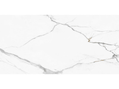 Calacatta Regal 120x60
