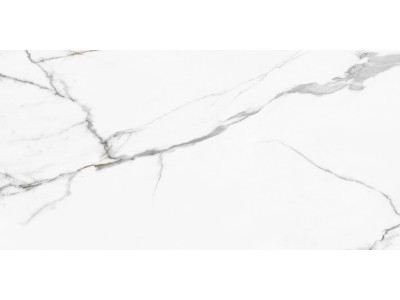 Calacatta Regal 120x60
