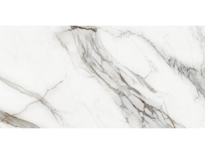 Carrara Cersei 120x60
