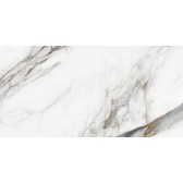 Carrara Cersei 120x60
