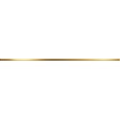 Tenor Gold 60x1,3
