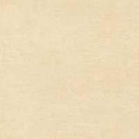 Керамогранит Honey 20x20
