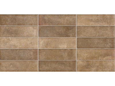 Elbrus Brick Marron 60x30

