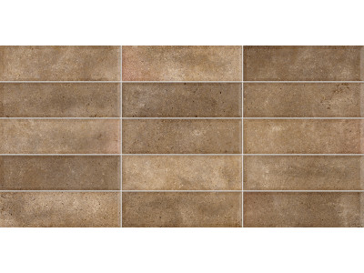 Elbrus Brick Marron 60x30

