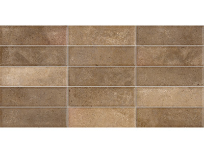 Elbrus Brick Marron 60x30
