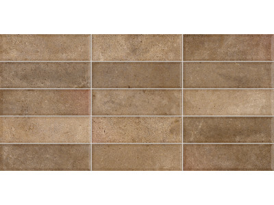 Elbrus Brick Marron 60x30
