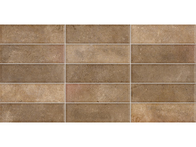 Elbrus Brick Marron 60x30

