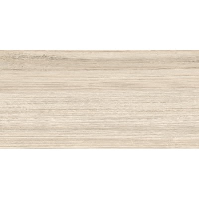 Essense Beige 50x24,9
