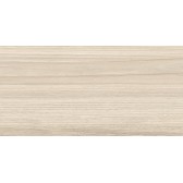 Essense Beige 50x24,9
