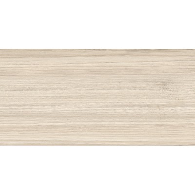 Essense Beige 50x24,9
