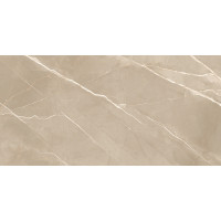 Керамогранит Essential Marron 120x60
