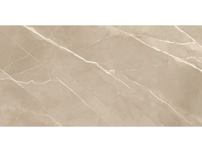 Керамогранит Essential Marron 120x60
