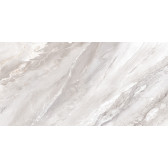 Evo Marmo Gris 120x60
