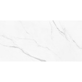 Lims Light 60x30
