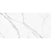 Lims Light 60x30
