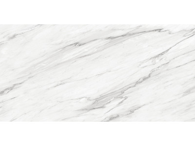 Monte Bianco 120x60
