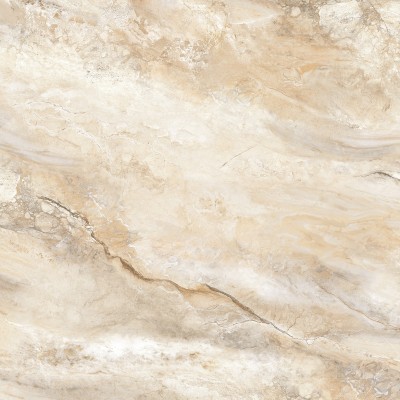 Neil 60x60
