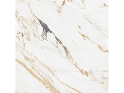 Pegas 60x60
