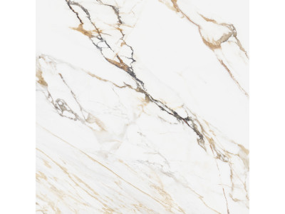 Pegas 60x60
