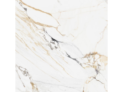 Pegas 60x60
