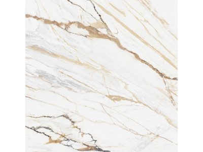 Pegas 60x60
