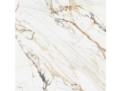 Pegas 60x60

