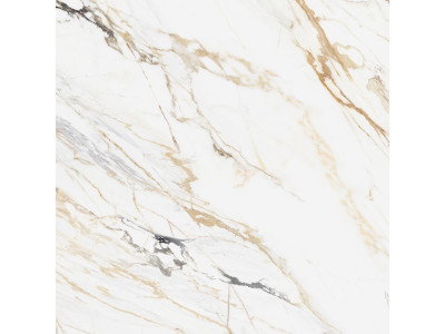 Pegas 60x60

