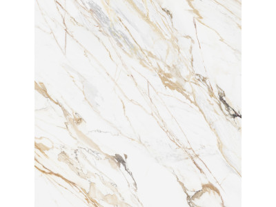 Pegas 60x60

