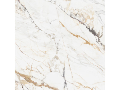 Pegas 60x60
