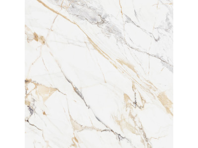Pegas 60x60
