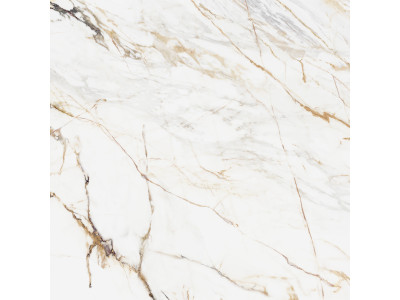Pegas 60x60
