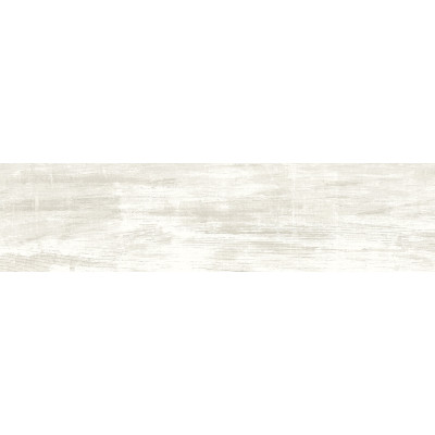Shabby Gris 60,2x15,1
